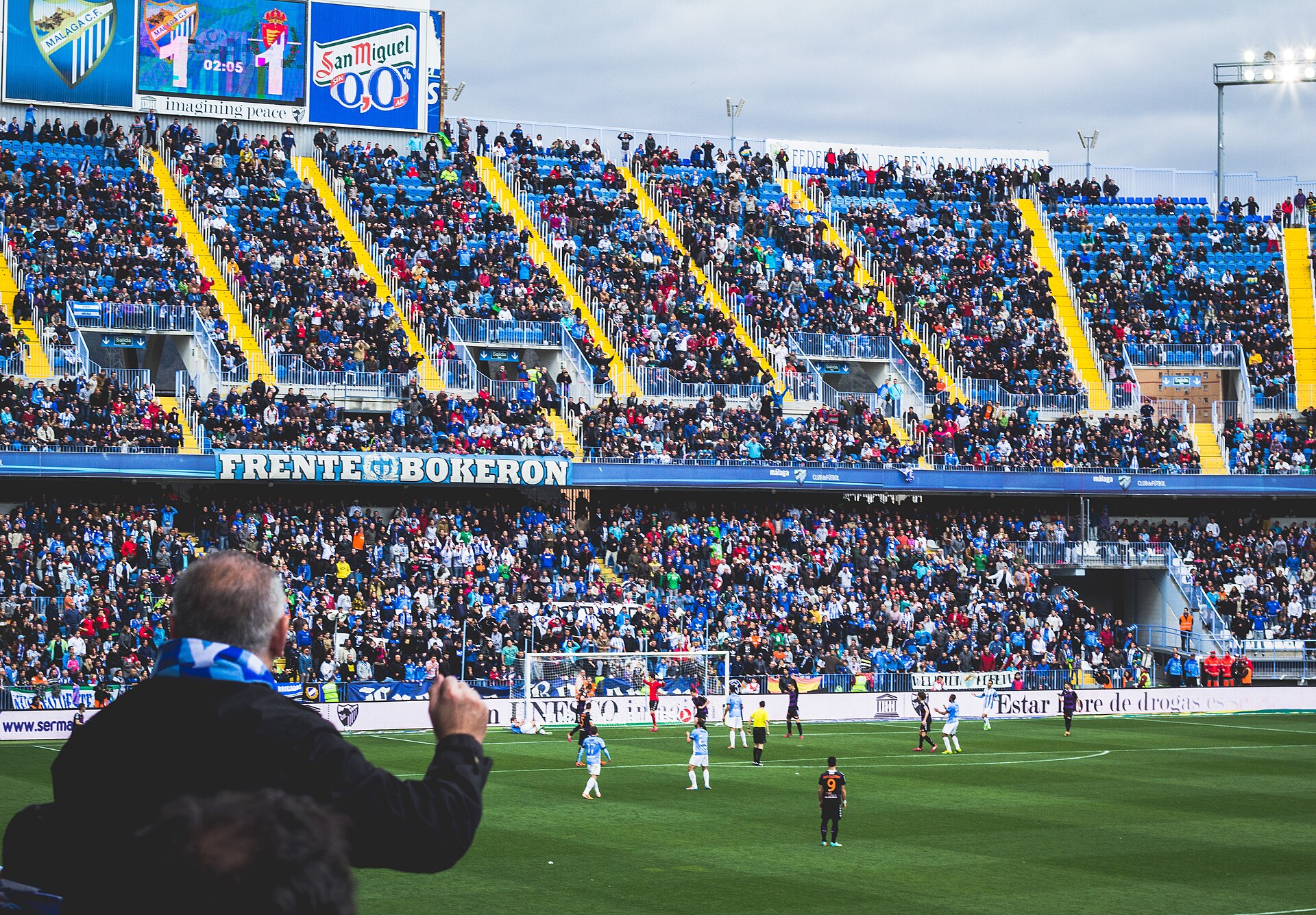 Fans på La Rosaleda